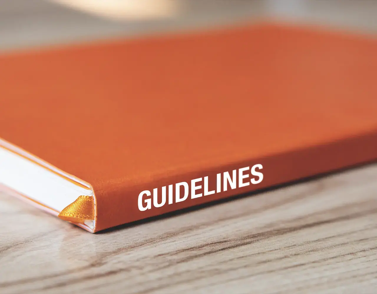 Brand guidelines binder showing how visual identity systems extend beyond logo design